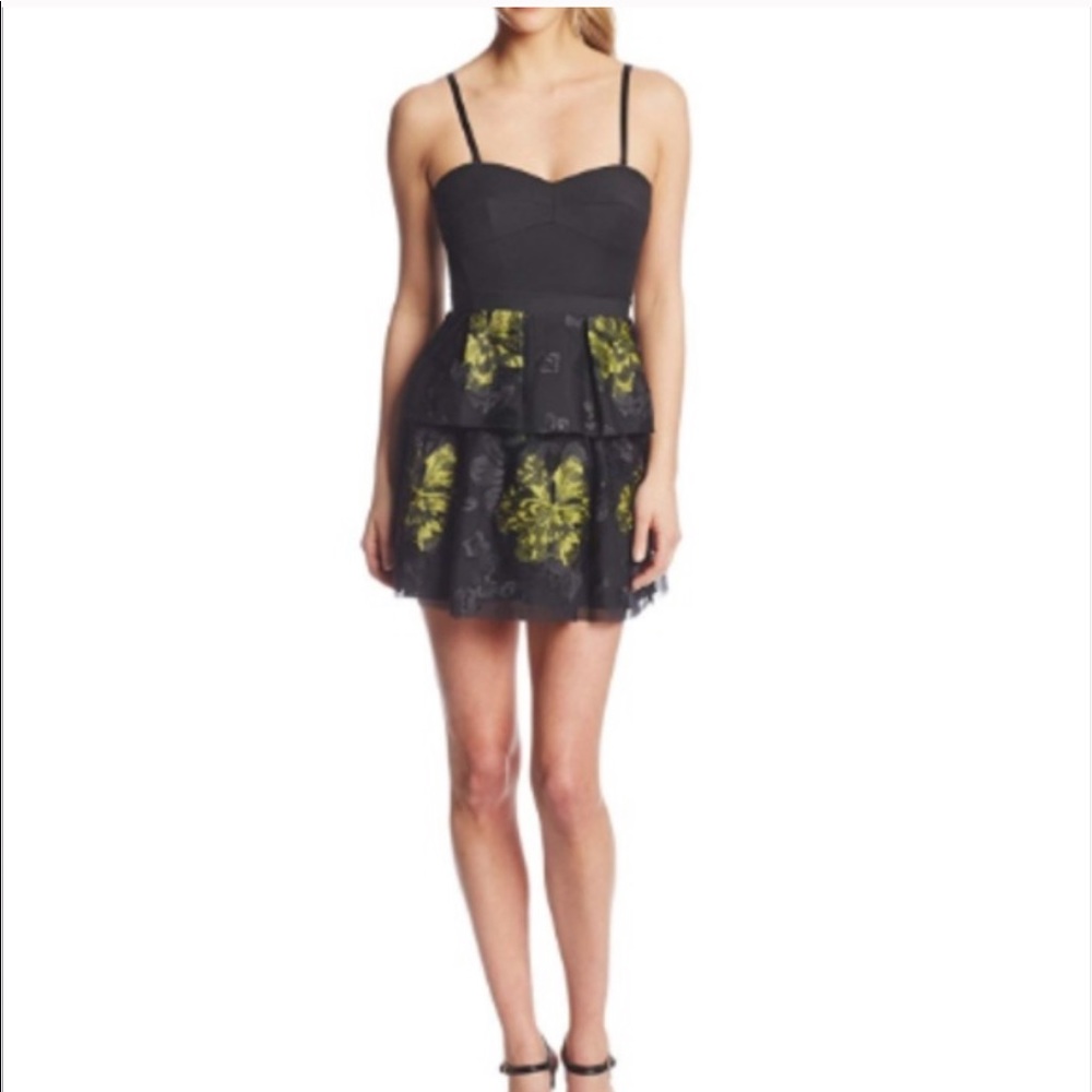BCBGMaxAzria Tia Embroidered Lace Dress size 8